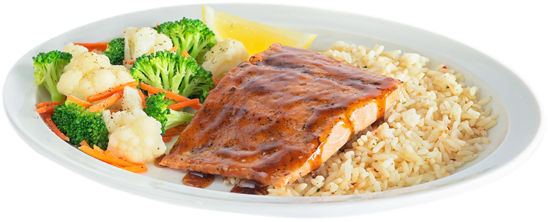 Teritaki Salmon